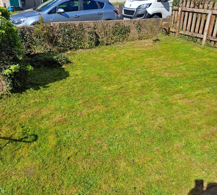 Grass cutting job and cut back the hedges in Cwmbran