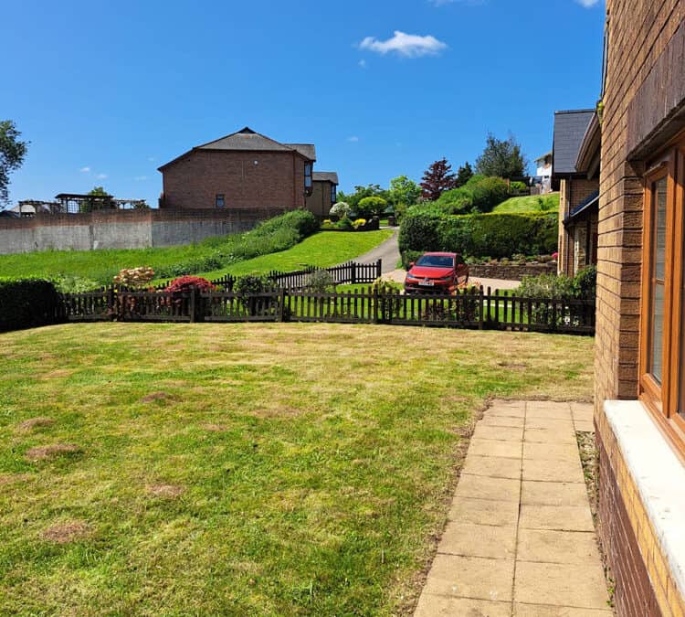 Grass cutting and a hedge cutting job down in newinn