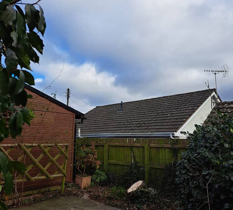Willow tree taken down for a customer in Coleford and waste removed