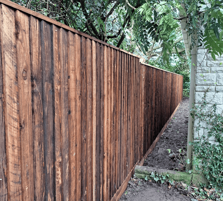 19 meters of 6ft feather fencing in The Narth