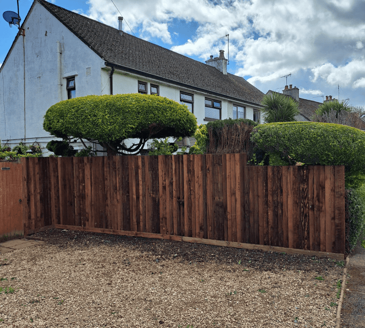 Project in Usk taken old rotten fence panels down cut away trees and a new 8 meters 6ft feather edge fence